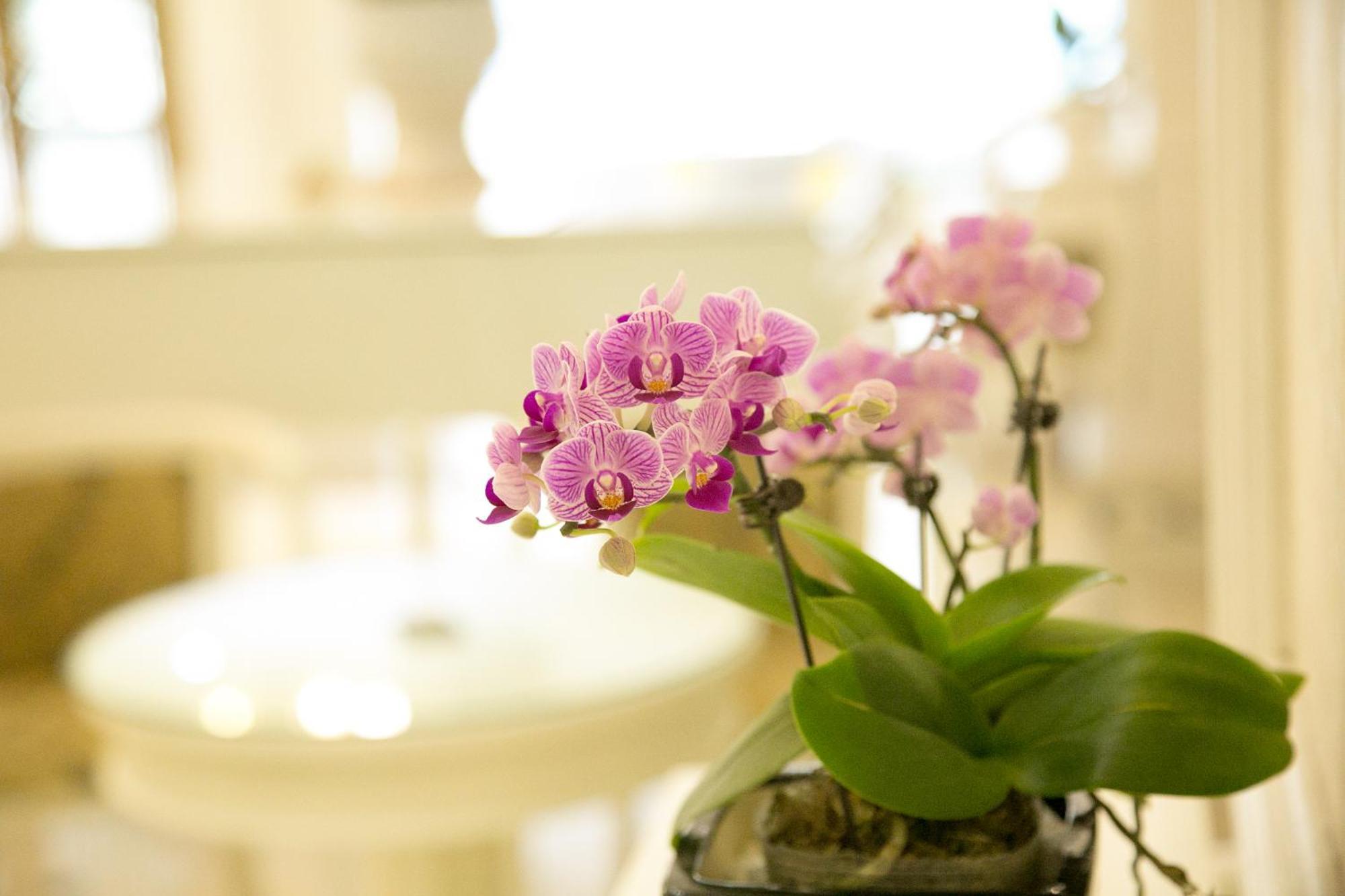 Citybay Palace Ha Long Hotel Dış mekan fotoğraf